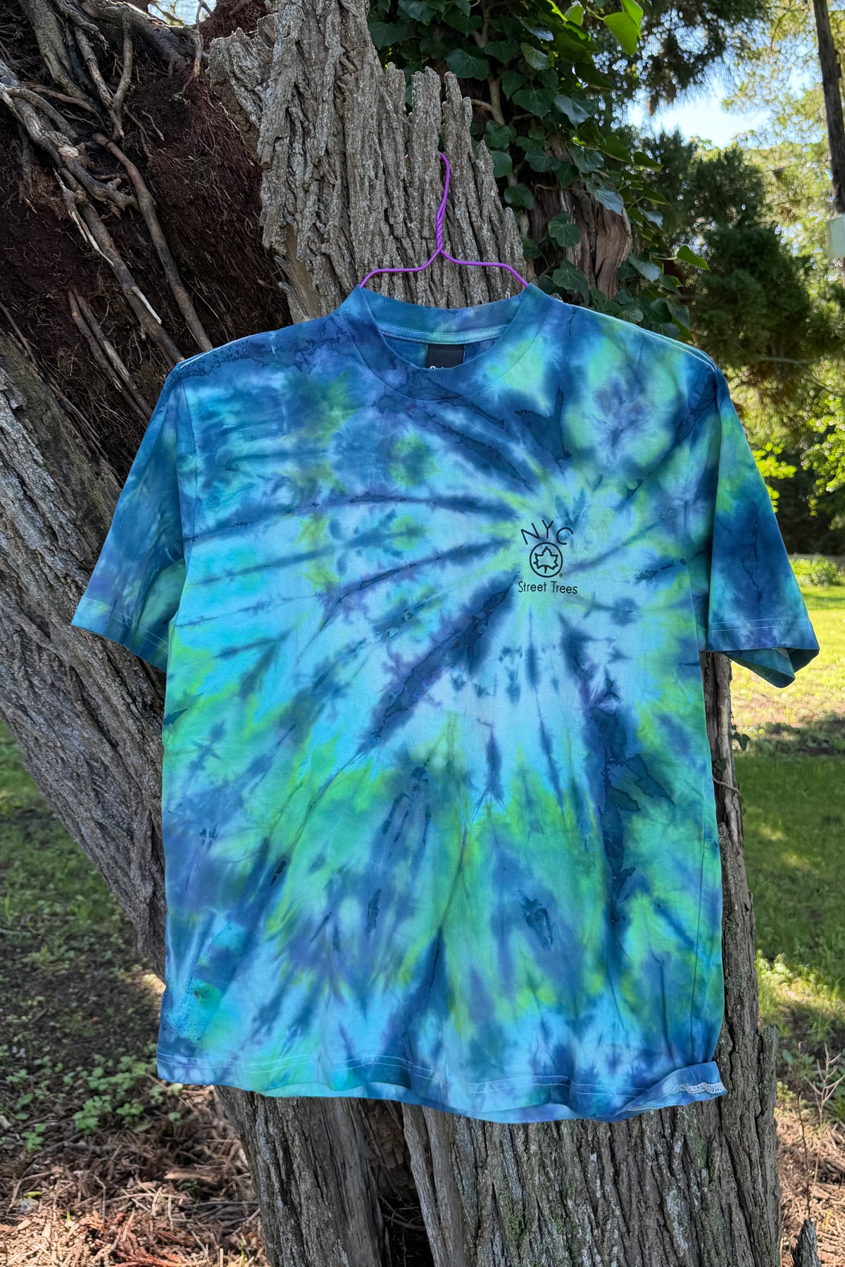Textile dye process — The Dye Cult